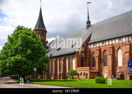 Kaliningrad, Russland - 18. Mai 2016: ein Wahrzeichen der alten Kathedrale unter dem bewölkten Himmel, zwischen den grünen Bäumen. Stockfoto