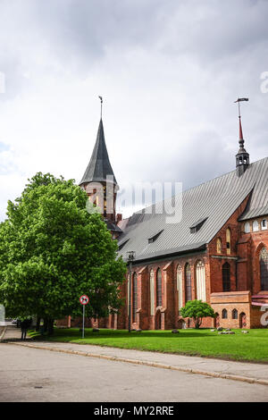 Kaliningrad, Russland - 18. Mai 2016: ein Wahrzeichen der alten Kathedrale unter dem bewölkten Himmel, zwischen den grünen Bäumen. Stockfoto