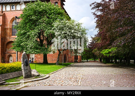 Kaliningrad, Russland - 18. Mai 2016: ein Wahrzeichen der alten Kathedrale unter dem bewölkten Himmel, zwischen den grünen Bäumen. Stockfoto