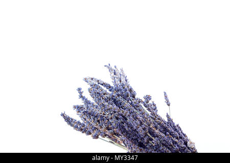 Lavendel Blumen auf weißem Hintergrund, trockenen Blumenstrauß aus Lavendelblüten isoliert weißer Hintergrund Stockfoto