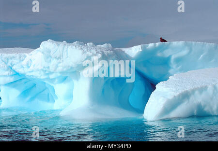 Treibender Eisberg, pleneau Insel, Antarktis | treibenden Eisbergs, pleneau Insel, Antarktis Stockfoto