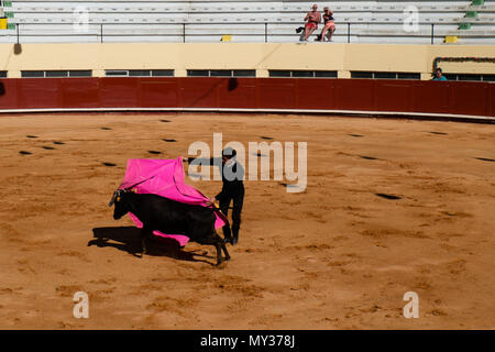 Corrida de Toiros Praça de Albufeira Portugal Stockfoto