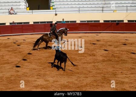 Corrida de Toiros Praça de Albufeira Portugal Stockfoto