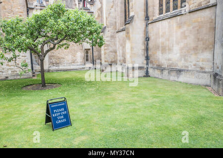 "Sie halten das Gras' Hinweis auf dem Rasen vor der Isaac Newton apple tree Nächsten die Kapelle am Trinity College der Universität Cambridge, En Stockfoto