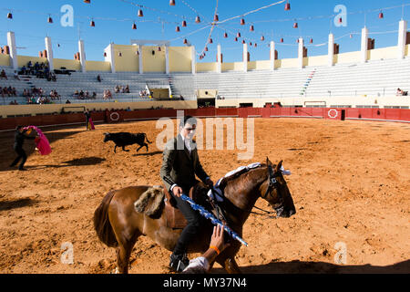 Corrida de Toiros Praça de Albufeira Portugal Stockfoto