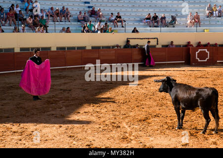 Corrida de Toiros Praça de Albufeira Portugal Stockfoto