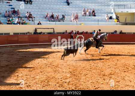 Corrida de Toiros Praça de Albufeira Portugal Stockfoto