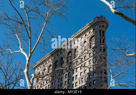 Baum und Flatiron Building, Manhattan, New York City, USA Stockfoto