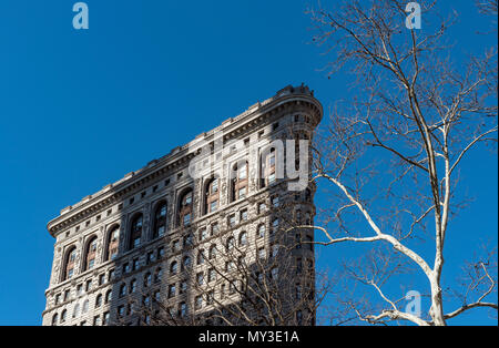 Baum und Flatiron Building, Manhattan, New York City, USA Stockfoto