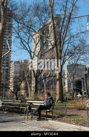 Madison Square Park und dem Flatiron Building, Manhattan, New York City, USA Stockfoto