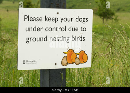 Lustige Zeichen an Martin, National Nature Reserve, Hund Wanderer ihre Hunde unter Kontrolle durch brütende Vögel zu Boden zu halten Stockfoto