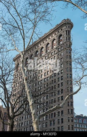 Baum und Flatiron Building, Manhattan, New York City, USA Stockfoto