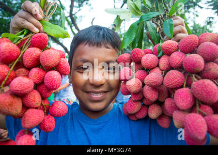 Ein Kind zeigt die große litschis Ihrer eigenen Garten an Rooppur, Ishwardi, Bangladesch. Stockfoto