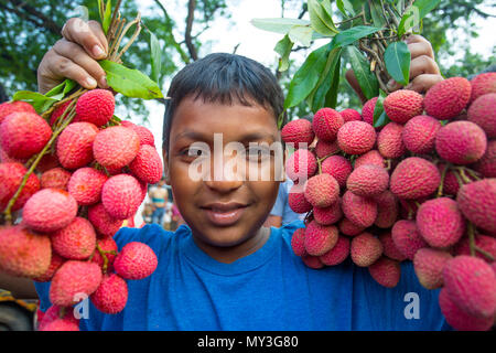 Ein Kind zeigt die große litschis Ihrer eigenen Garten an Rooppur, Ishwardi, Bangladesch. Stockfoto