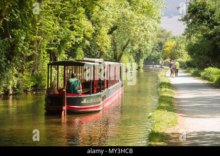 Pferd 15-04 mit Touristen ein Vergnügen Reise entlang der 200 Jahre alten Llangollen Canal in Nord Wales gezeichnet Stockfoto