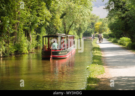 Pferd 15-04 mit Touristen ein Vergnügen Reise entlang der 200 Jahre alten Llangollen Canal in Nord Wales gezeichnet Stockfoto