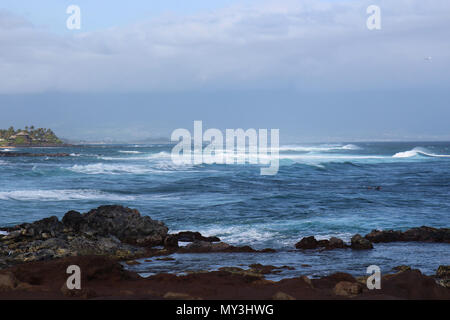 Ein surfer Schwimmen aus der Wellen am Hookipa Beach in Maui, USA mit herrlichen Schattierungen von Blau in den Pazifischen Ozean Stockfoto