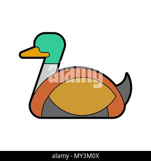 Drake Ente männlich isoliert. wasservögel Vogel Vector Illustration Stock Vektor