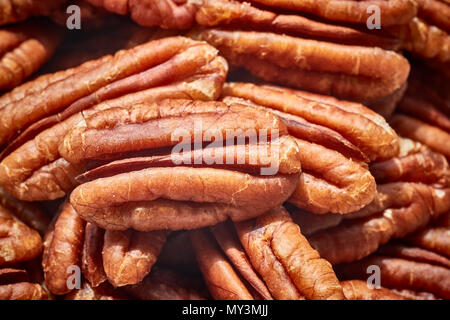 In der Nähe Bild von getrockneten Pekannuss, selektive konzentrieren. Stockfoto