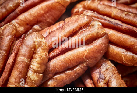 In der Nähe Bild von getrockneten Pekannuss, selektive konzentrieren. Stockfoto