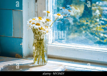 Gänseblümchen im Glas in der Nähe eines Fensters, Filter oder Effect Stockfoto