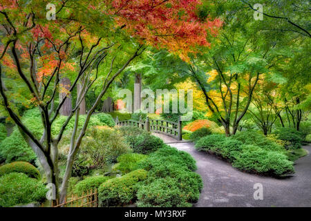 Herbst Farbe Brücke und Pfad in Japanischen Gärten. Portland. Oregon Stockfoto