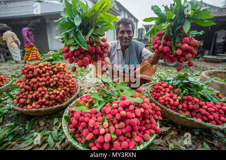 Die litschi Großhändler zeigt ihre grosse Lychee Bündel in Shimultoli Bazar an Rooppur, Ishwardi, Bangladesch. Stockfoto