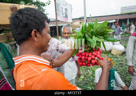 Litschi verkaufen Gebot geht in Shimultoli Bazar an Rooppur, Ishwardi, Bangladesch. Stockfoto