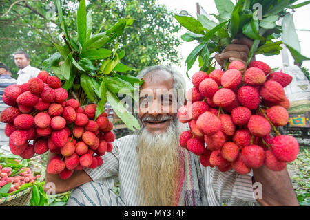 Die litschi Großhändler zeigt ihre grosse Lychee Bündel in Shimultoli Bazar an Rooppur, Ishwardi, Bangladesch. Stockfoto