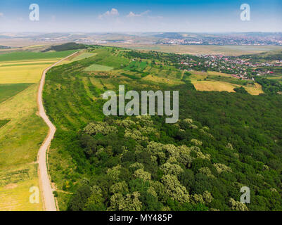 Straße im Wald zu Dorf. Luftaufnahme. Iasi, Rumänien Stockfoto