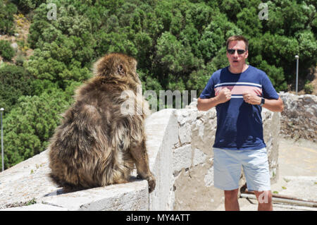 Tourist, ein Bild mit einem Barbary Affe oben Windmill Hill in Gibraltar Stockfoto