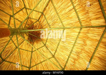 Thatch Sonnenschirm aus Holz Stockfoto