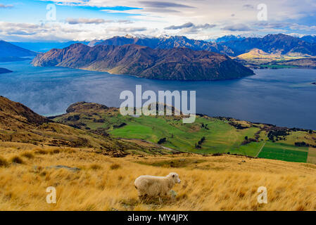 Blick auf Lake Wanaka mit einem Schaf auf einem Hügel, Südinsel, Neuseeland Stockfoto