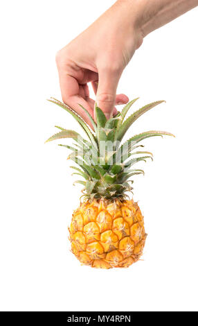 Der Mann hält mini Ananas für die Blätter auf weißem Hintergrund Stockfoto