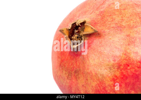 Blüte reif und frisch Granatapfel Obst closeup Stockfoto