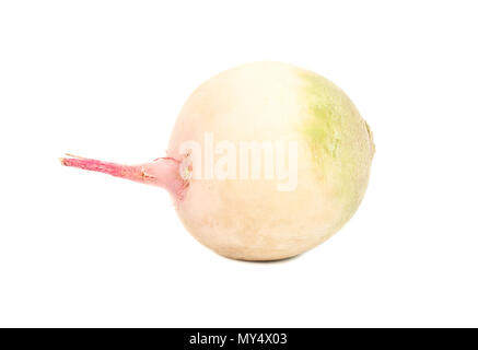 Frische Wassermelone Rettiche auf weißem Hintergrund Stockfoto