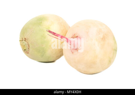 Zwei frische Wassermelone Rettiche auf weißem Hintergrund Stockfoto