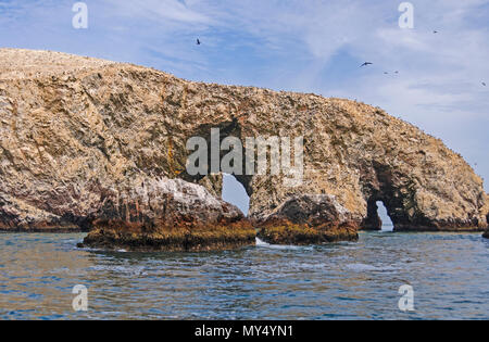 Vogel Verschachtelung auf der Ballestas Inseln in Peru Stockfoto