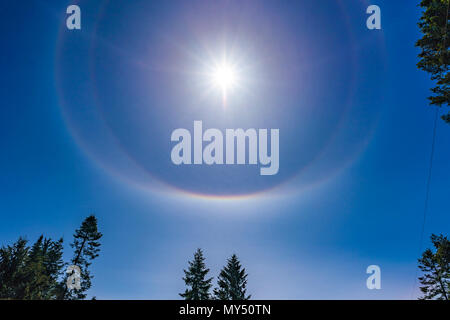 22° Halo Ring von Licht 22 Grad von der Sonne gebildet von Hexagonalen Eiskristalle mit zusätzlichen umschriebenen Halos, Comox Valley, British Columbia, Stockfoto