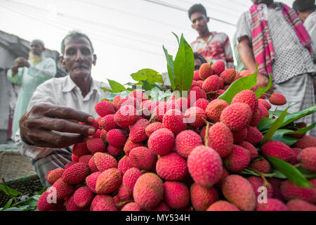 Litschi schalen Blick über in Shimultoli Bazar an Rooppur, Ishwardi, Bangladesch. Stockfoto