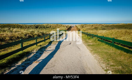 Auf der Suche nach einem Weg, führt zum Strand im Wattenmeer Insel Schiermonnikoog (Friesland, Niederlande) auf einem sonnigen September Nachmittag Stockfoto