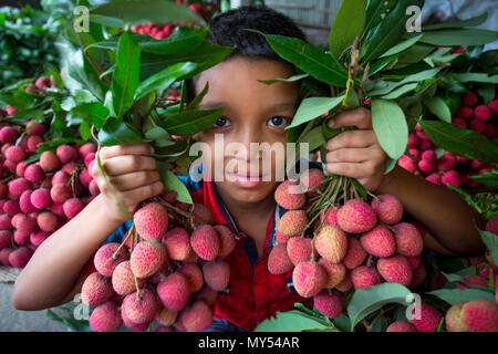 Ein Kind zeigt die große litschis Ihrer eigenen Garten an Rooppur, Ishwardi, Bangladesch. Stockfoto