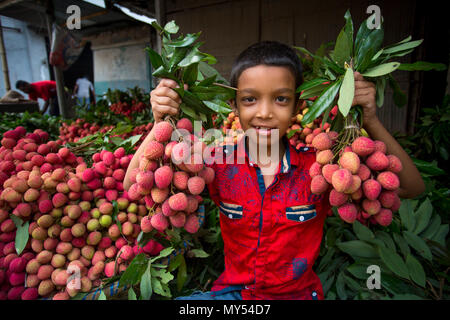 Ein Kind zeigt die große litschis Ihrer eigenen Garten an Rooppur, Ishwardi, Bangladesch. Stockfoto