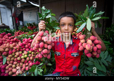 Ein Kind zeigt die große litschis Ihrer eigenen Garten an Rooppur, Ishwardi, Bangladesch. Stockfoto