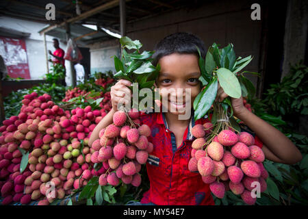 Ein Kind zeigt die große litschis Ihrer eigenen Garten an Rooppur, Ishwardi, Bangladesch. Stockfoto