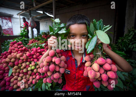 Ein Kind zeigt die große litschis Ihrer eigenen Garten an Rooppur, Ishwardi, Bangladesch. Stockfoto