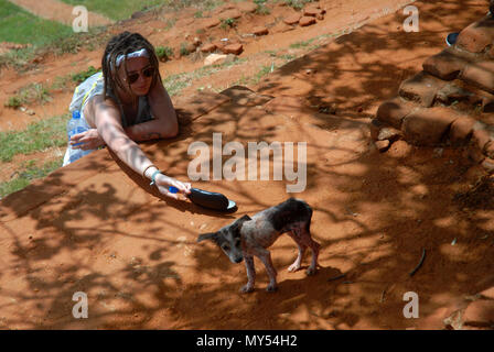 Frauen, die streunenden Hund füttern, Sigiriya Rock Fortress, Sigiriya, Central Province, Sri Lanka. Stockfoto