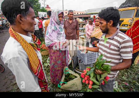 Litschi verkaufen Gebot geht in Shimultoli Bazar an Rooppur, Ishwardi, Bangladesch. Stockfoto