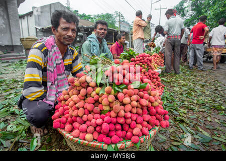 Litschi Großhandel Verkäufer sat für den Verkauf von Lychee in Shimultoli Bazar an Rooppur, Ishwardi, Bangladesch. Stockfoto