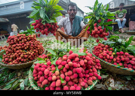 Die litschi Großhändler zeigt ihre grosse Lychee Bündel in Shimultoli Bazar an Rooppur, Ishwardi, Bangladesch. Stockfoto